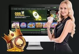 535bet8